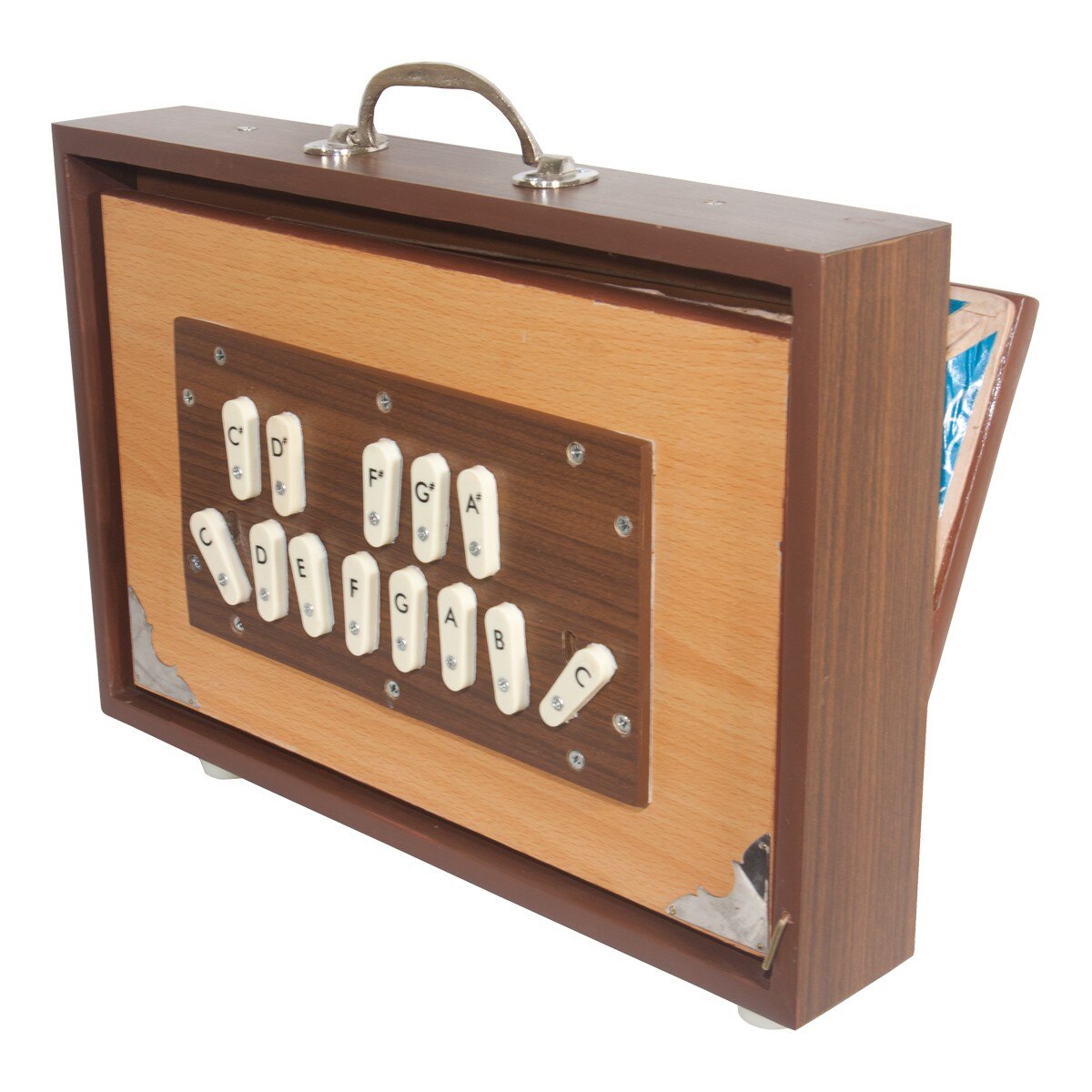 banjira Deluxe Shruti Box w/ Side Controls 3C4C AYOTTE CUSTOM